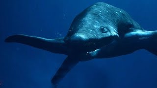 Predator X  The Mysterious Marine Reptile  Documentary EnglishHD [upl. by Simeon987]