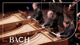 Bach  Concerto for three harpsichords in D minor BWV 1063  Mortensen  Netherlands Bach Society [upl. by Anor]