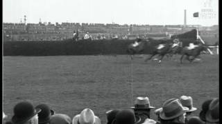 The Grand National 1929 The Worlds Greatest Race 1929 [upl. by Nylla]