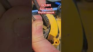 Quick Fix Dewalt DCS391 Brush Replacement DewaltTools [upl. by Yelsnya468]