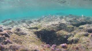 Mare Ionio tra Campomarino di Maruggio e TorreOvo [upl. by Camden919]