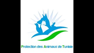 Association de Protection des Animaux de Tunisie  PAT  Belgique par Hilham Cécile [upl. by Aracahs]