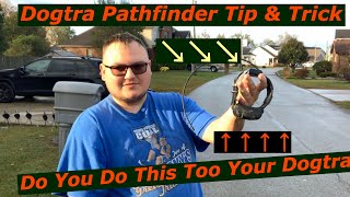 Dogtra Pathfinder Keep Your Antenna Safe [upl. by Champaigne262]