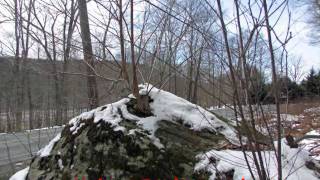 26 Sprawling Acres Callicoon NY Sullivan County [upl. by Errecart]