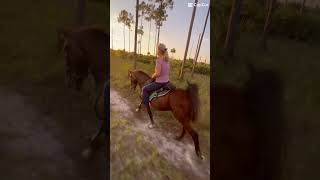 Sunset ride with my mom 🤩 ok guys listen Danzer is a VERY bumpy Arabian so no hate pls 🫶🏻 [upl. by Fanchet]