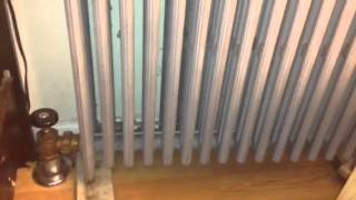 Loud banging steam radiator Sounds like Angry Monkeys [upl. by Laroc]