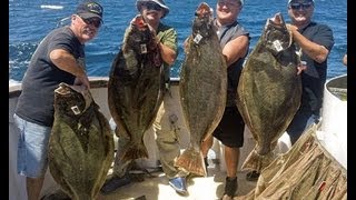 Mirage Sportfishing  California Halibut Fishing 55lb and 36lb 08172011 Channel Islands [upl. by Lleihsad793]