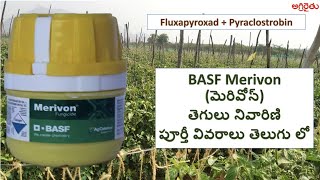 BASF Merivon మెరివోన్ తెగులు నివారిణి వివరాలు తెలుగు detail in Telugu [upl. by Selrhc]