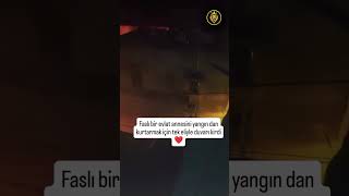 Tek Kelime İle Harika🫶👏👏👏Gözlerim Yaşardı mani Olamadım🥹 [upl. by Aicyla]