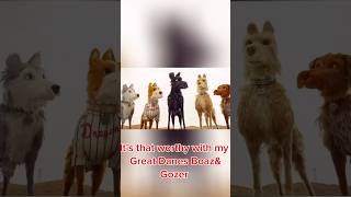 It’s that worthy with my Great Danes BoazampGozer funny greatdanesunlimited greatdane greatdanetv [upl. by Enitsyrk]