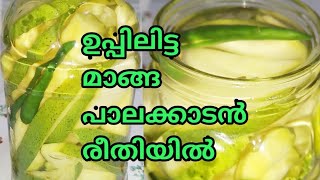 Manga Uppilittathu  മാങ്ങ ഉപ്പിലിട്ടത്  Palakkad Style How to make uppilitta manga in malayalam [upl. by Fulvi]