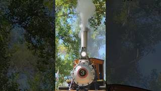 PowayMidland Railroad 3 goes over camera [upl. by Aicnerolf664]