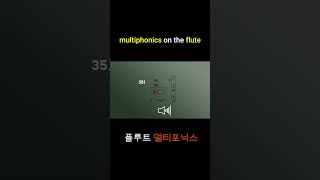 4 Multiphonic Sounds multiphonics flute flutetutorial music fluteplayer [upl. by Burny315]