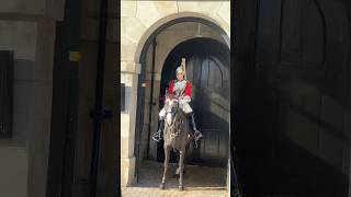 kingsguard royalkingsguards lifeguards london army horseguard horse viralvideo shorts uk [upl. by Pasahow28]