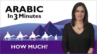 Learn Arabic  Arabic in 3 Minutes  How Much [upl. by Neeloc368]