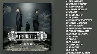 Los Temerarios 25 Éxitos Para Siempre  Los Temerarios Lo Más Romántico Para Enamorados [upl. by Naitsirk]