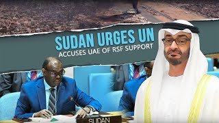 Sudan UAE Arms Support to RSF Calls for UN Intervention [upl. by Valenza230]