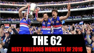 The 62  Best Bulldogs Moments of 2016 [upl. by Tatianas]