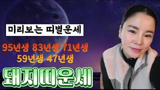 2024년 돼지띠운세 10년 대운의 발동이 시작된다 [upl. by Aissela]