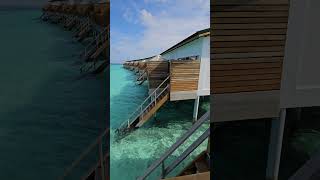 Joy Island Maldives by Cocoon Collection [upl. by Riabuz]