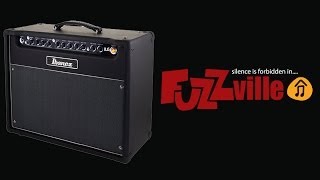 Ibanez Iron Label IL15  Tube Guitar Amplifier [upl. by Neelyar213]