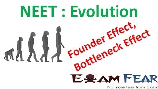 NEET Biology Evolution  Founder Effect Bottleneck Effect [upl. by Rednaskela950]