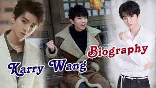 Brief Biography of Karry Wang 王俊凯 Chinese Actor [upl. by Nosydam]