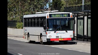 Busways 447 ZF  Custom Coaches 228  Mercedes Benz O405 [upl. by Loveridge26]