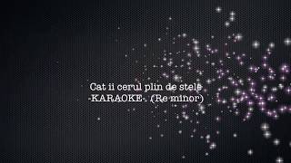 Cat ii ceru plin de stele KARAOKE Sinziana Stefan Re minor [upl. by Rhu]