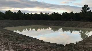 Wildwood Flower  clawhammer banjo  Pond [upl. by Temme]