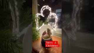 Christmas Decorations are up christmasdecor shorts myhouse xmas fyp youtube lovechristmas [upl. by Nnahtur999]