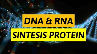 DNA RNA dan Sintesis Protein [upl. by Jeritah]