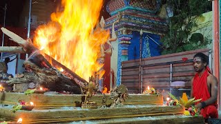 🔱🕉️🔥Maa Aghorakali hawan 🔴 Live Darshan 🔥🕉️🔱 [upl. by Anelyak]