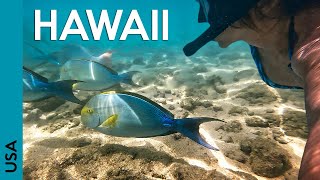 HAWAII BEACHES Amazing Hanauma Bay Lanikai and Kailua 😍 Oahu vlog 4 [upl. by Dagmar743]