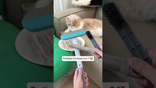 Pratique cette brosse 3 en 1 non [upl. by Batory479]