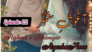 Aghosh e Sitmgar Ayesha Noor  episode 22  second marriage amp contract amp age difference base novel [upl. by Nniuq774]