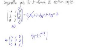 Determinante 3x3 Desarrollo por una columna [upl. by Eneli990]