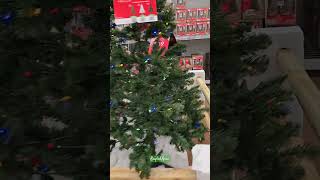 Walmart Christmas Trees 2024 christmas shorts shopwithme [upl. by Mariann457]