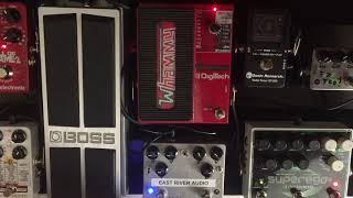 EHX superego plus canyon and Digitech whammy [upl. by Rasmussen229]