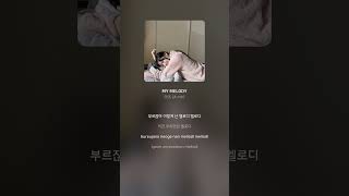 아츠 Arth  MY MELODY  가사 Lyrics Shorts [upl. by Caddaric]