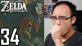 LA PLUS GROSSE ERREUR DE MA VIE   The Legend of Zelda Breath of the Wild 34 [upl. by Neehs]