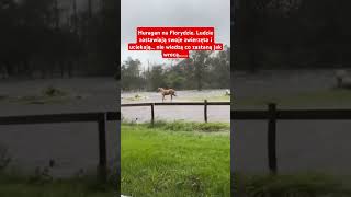 Huragan na Florydzie Ludzie porzucają zwierzęta hurricane huragan [upl. by Namreh]