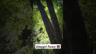 Odisha udaygiri forest 🐻odisha udaygiri [upl. by Llerraf]