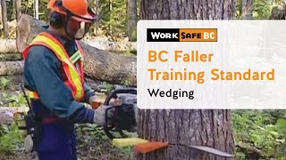 BC Faller Training Standard  Wedging 9 of 17 [upl. by Burrton]