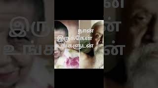 Annai Aravindar songTrendingvlog18 Pondicherry Annai Aravindar God song reels [upl. by Ayidah223]