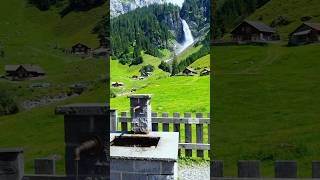 الطبيعة في جبال الالب  Nature in the Alps [upl. by Glanti427]