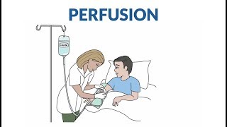 Comment se passe une perfusion [upl. by Ardnekan]