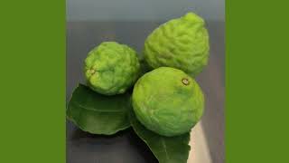 What makes BergaMet’s Citrus Bergamot Better Than The Rest [upl. by Ameen]