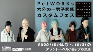 PetWORKs 六分の一男子図鑑 カスタムフェス [upl. by Goff]