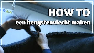 HOW TO een hengstenvlecht maken  53  Epplejeck [upl. by Saddler]